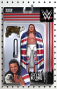 WWE # 10 (Boom Studios 2017) Action Figure Variant