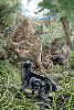 Beasts Of Burden #  3 of 4 (Dark Horse Comics 2018)