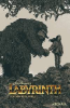 Labyrinth Under The Spell # 1 (Boom Studios 2018) Preorder Variant