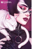 Catwoman (2020) # 27 (DC Comics 2020) Jenny Frison Variant Cover