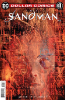 Dollar Comics: Sandman # 23 (DC Comics 2020)