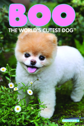 Boo, The World's Cutest Dog # 2 (Dynamite Comics 2016)