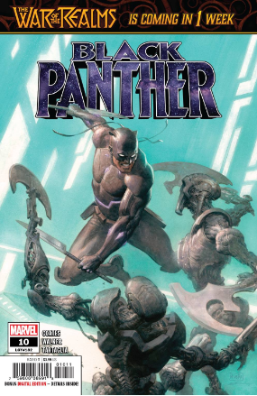 Black Panther volume 2 # 10 (Marvel Comics 2019)