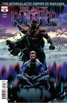 Black Panther volume 2 # 15 (Marvel Comics 2019) Black Panther volume 2 # 15 (Marvel Comics 2019)