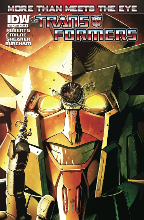 Transformers: More Than Meets The Eye # 20 (IDW Comics 2013)