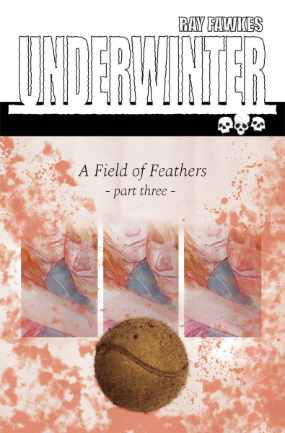 Underwinter Field of Feathers #  3 (Image Comics 2017)