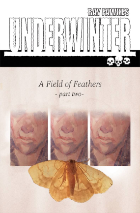 Underwinter Field of Feathers #  2 (Image Comics 2017)
