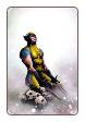 Wolverine, volume 4 # 12 (Marvel Comics 2011)