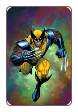 Wolverine, volume 4 # 303 (Marvel Comics 2012)