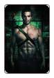Arrow # 8 (DC Comics 2013)