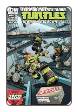 TMNT: New Animated Adventures # 12 (IDW Comics 2014)