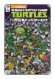 TMNT: Amazing Adventures # 11 (IDW Comics 2016)