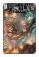 TMNT Universe # 11 (IDW Comics 2017)