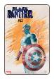 Black Panther volume 2 # 13 (Marvel Comics 2019)