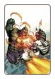 Incredible Hulk # 15 (Marvel Comics 2012)