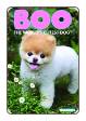 Boo, The World's Cutest Dog # 2 (Dynamite Comics 2016)