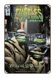 TMNT: Urban Legends # 10 (IDW Comics 2019)