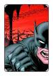Batman Incorporated # 10  (DC Comics 2013)