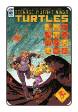 TMNT: Ongoing # 69 (IDW Comics 2017)