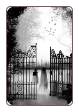 Ghost Comic Books