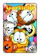 Garfield # 11 (Kaboom Comics 2013)