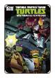 TMNT: New Animated Adventures # 15 (IDW Comics 2014)