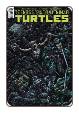 TMNT: Ongoing # 70 (IDW Comics 2017)