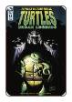 TMNT: Urban Legends # 13 (IDW Comics 2019)