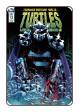 TMNT: Urban Legends # 13 (IDW Comics 2019) Cover B