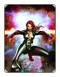 Secret Avengers, volume 1 # 15 (Marvel Comics 2011)