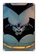 Batman Incorporated # 13  (DC Comics 2013)