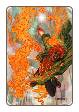 A Distant Soil # 41 (Image Comics 2013)