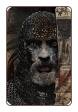 Pestilence #  3 (Aftershock Comics 2017)