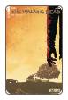 Walking Dead # 193 (Skybound Comics 2019) Second Print