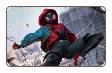 Miles Morales Spider-Man