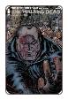 Walking Dead # 162 (Skybound Comics 2016) Connecting Cover Variant