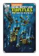 TMNT: New Animated Adventures # 18 (IDW Comics 2014)