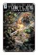 TMNT Universe # 16 (IDW Comics 2017)