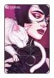 Catwoman (2020) # 27 (DC Comics 2020) Jenny Frison Variant Cover
