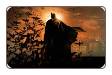 Batman, the Dark Knight