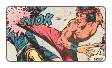 Martial Arts Comic Books